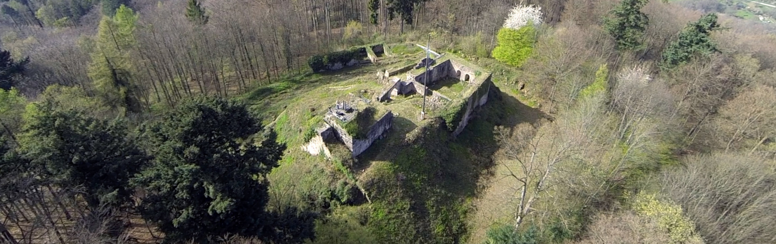 Burg Kürnberg (Kirnburg)