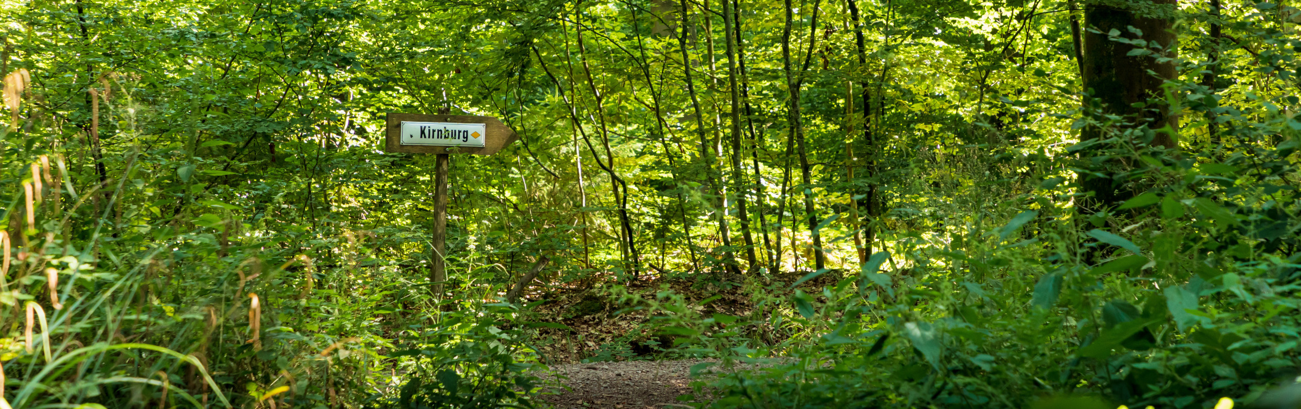 Wanderwege zur Kirnburg